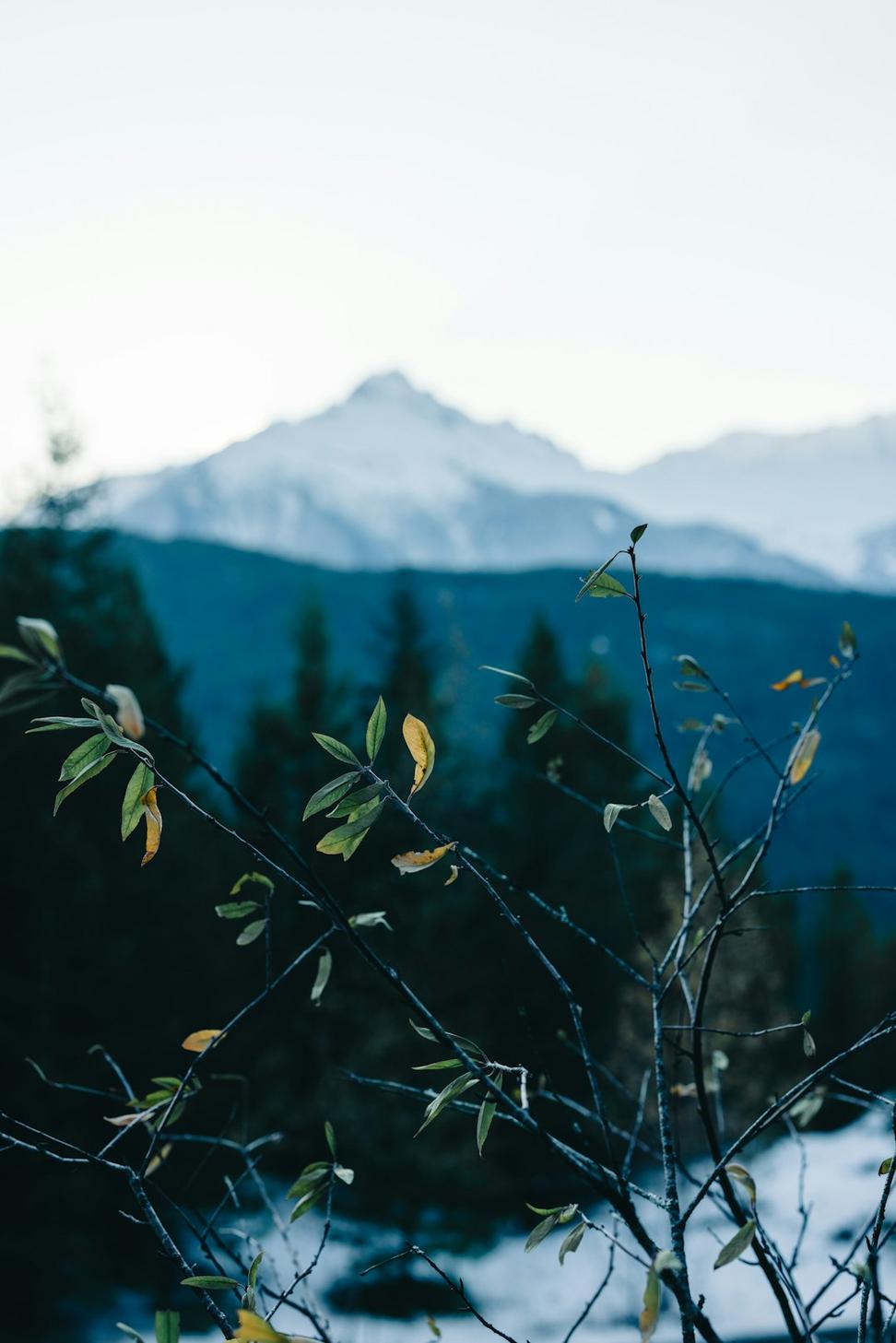 Outdoor Adventures